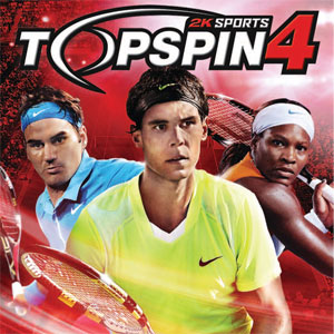 Top Spin 4