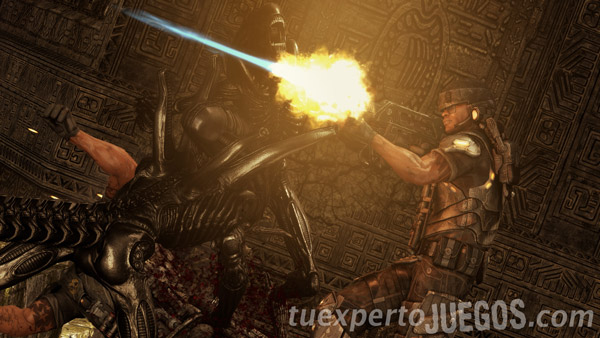aliens-vs-predator-02