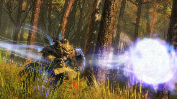 Guild-Wars-2-Guardian-1
