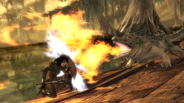 Guild-Wars-2-Combate-2