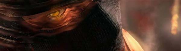 Ninja Gaiden 3-2
