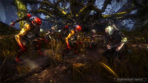The Witcher 2: Assasins of Kings, nuevos ví­deos de gran duración y varias capturas