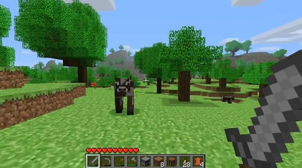 minecraft pocket 02